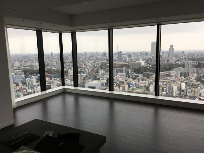 ラトゥール新宿ガーデンの眺望